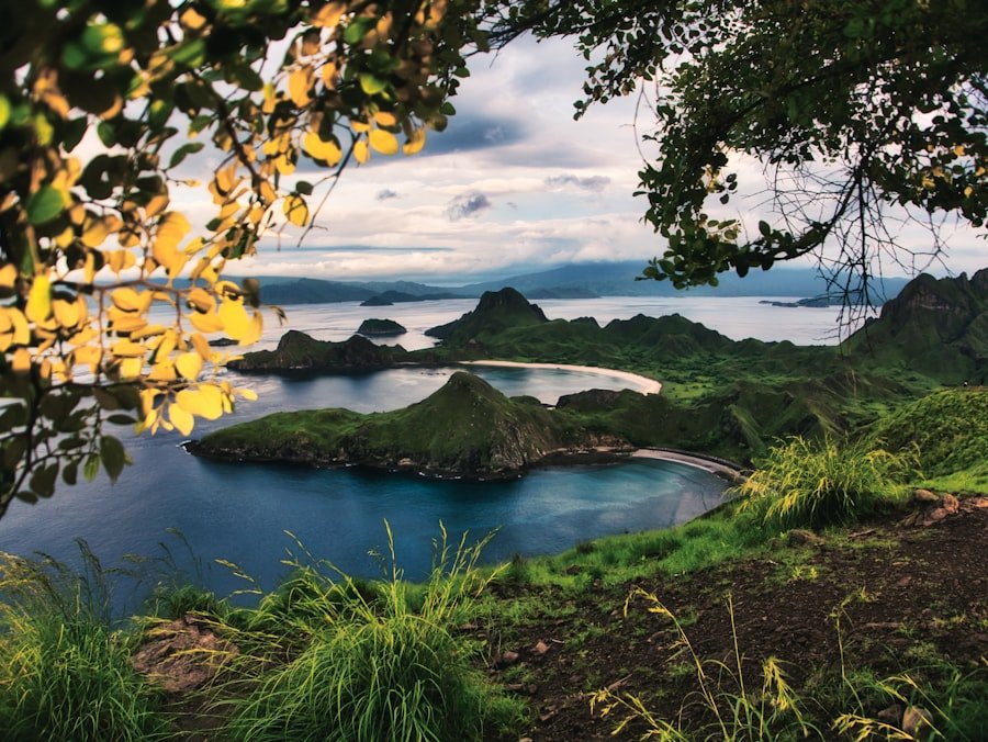 Komodo Island Adventure